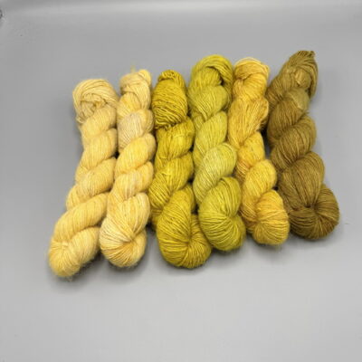 Alpakara Unica SET MUSTARD MIX (6 skeins running lengths varying between 200>240mtr/different twists)